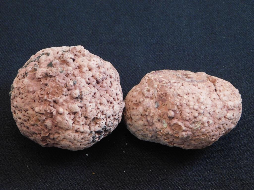 COPROLITE ROCK STONE LAPIDARY SPECIMEN (1 of 2)