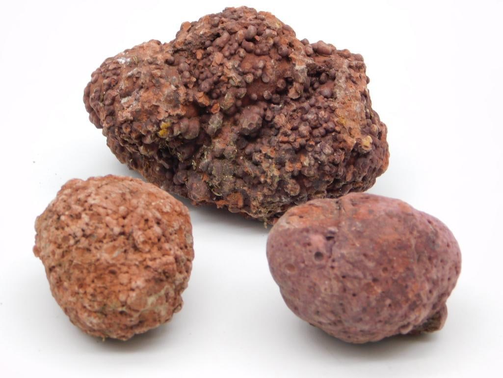 COPROLITE ROCK STONE LAPIDARY SPECIMEN (1 of 2)