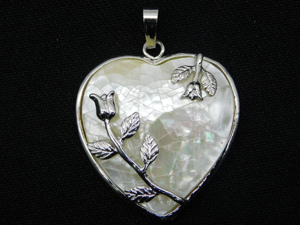 SHELL PENDANT ROCK STONE LAPIDARY SPECIMEN (1 of 2)