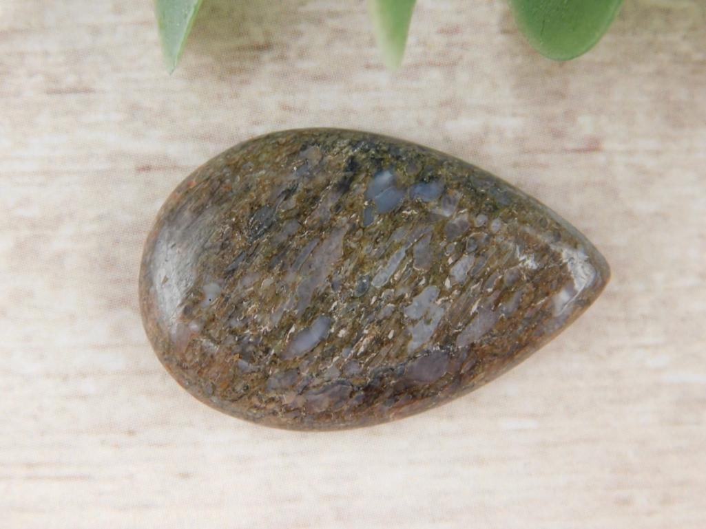 DINOSAUR BONE CABOCHON ROCK STONE LAPIDARY SPECIMEN (1 of 2)