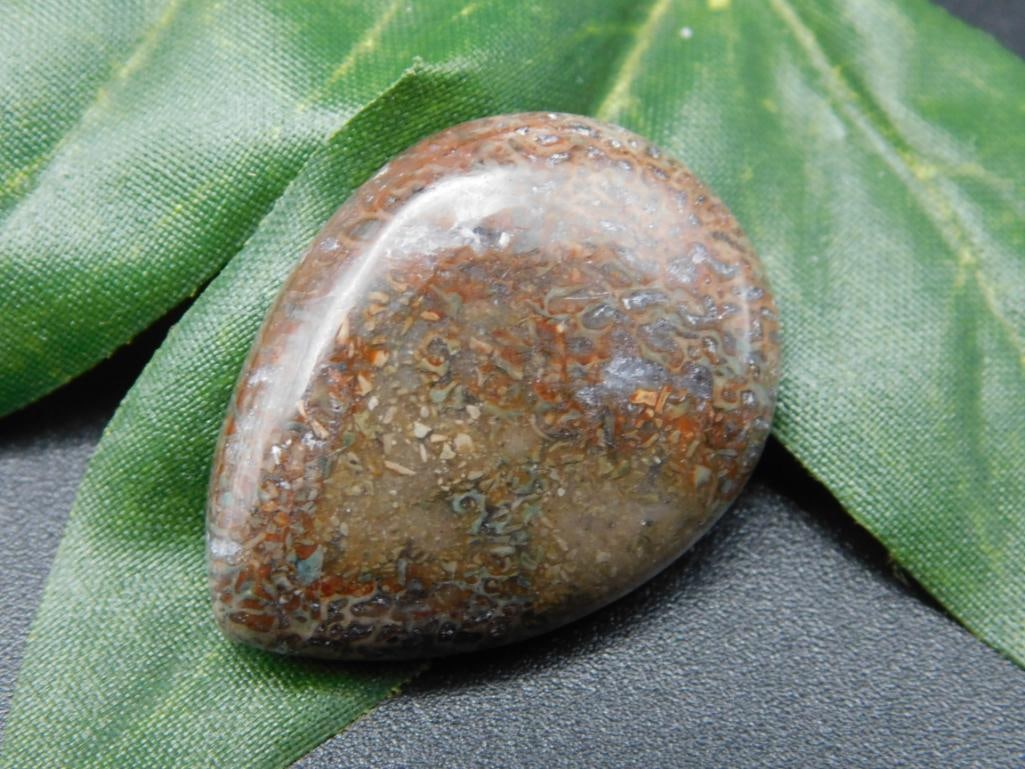 DINOSAUR CABOCHON ROCK STONE LAPIDARY SPECIMEN (1 of 2)