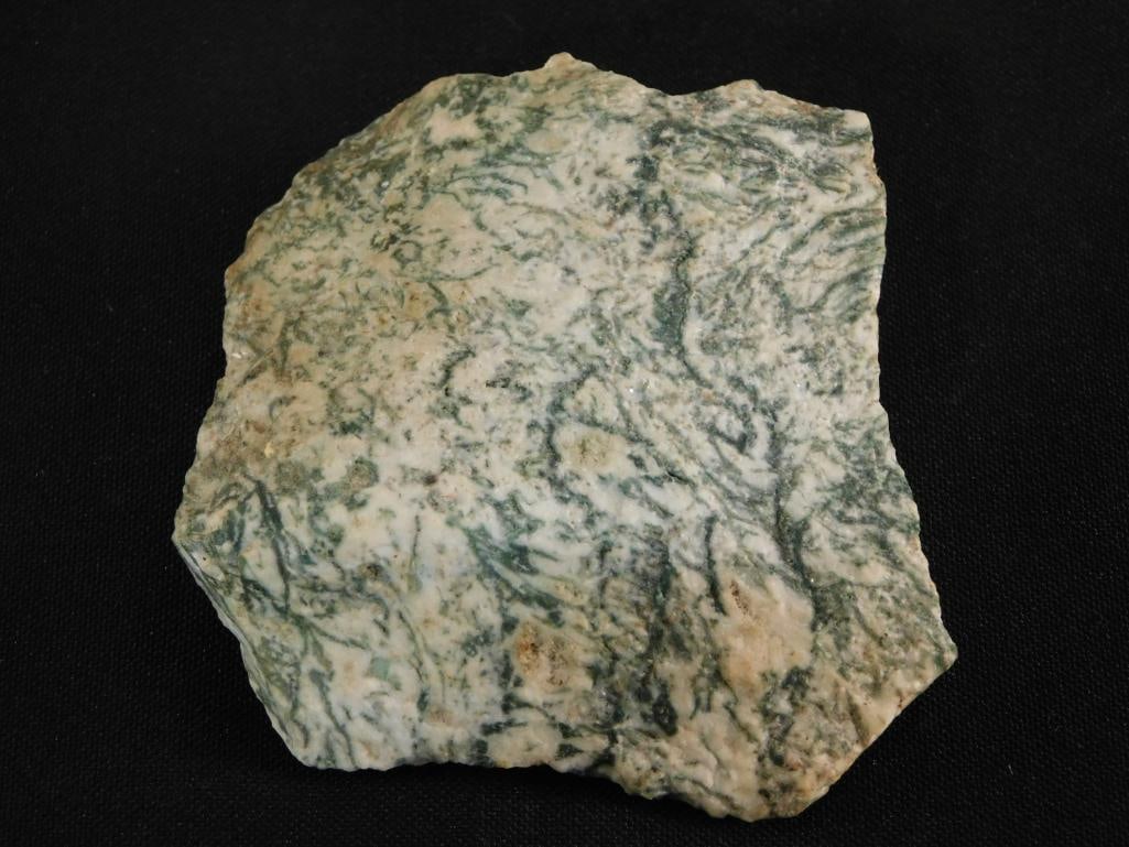 TREE AGATE ROCK STONE LAPIDARY SPECIMEN (1 of 3)