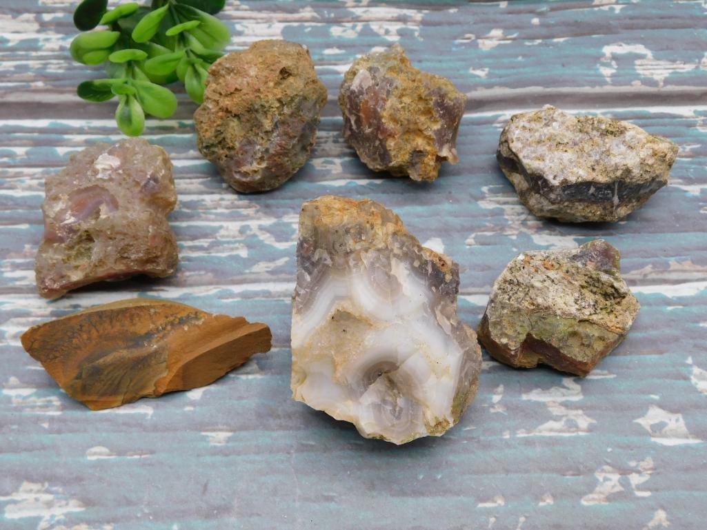 MIXED ROUGH ROCK STONE LAPIDARY SPECIMEN: MIXED ROUGH ROCK STONE LAPIDARY SPECIMEN