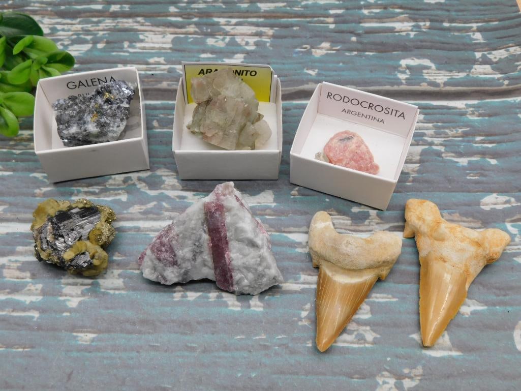 MIXED LOT ROCK STONE LAPIDARY SPECIMEN (1 of 4)