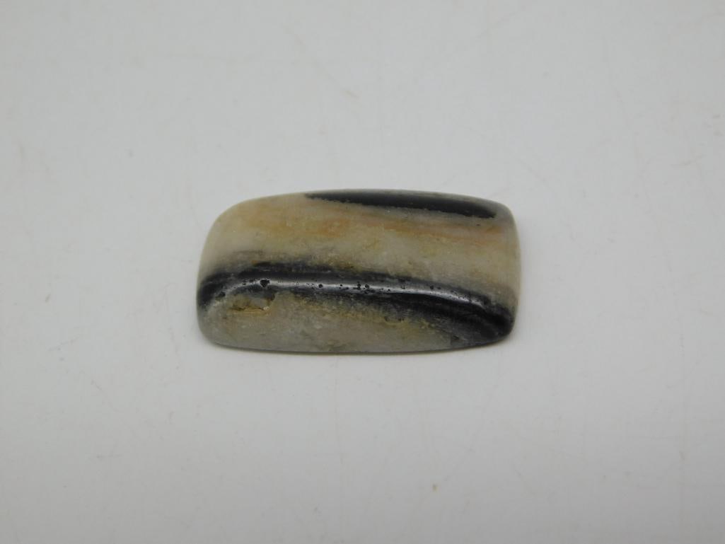 ZEBRA CABOCHON ROCK STONE LAPIDARY SPECIMEN (1 of 2)