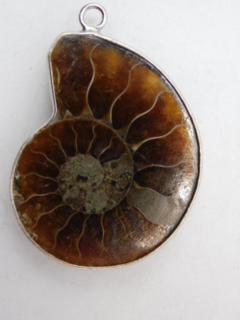 AMMONITE PENDANT ROCK STONE LAPIDARY SPECIMEN (1 of 2)