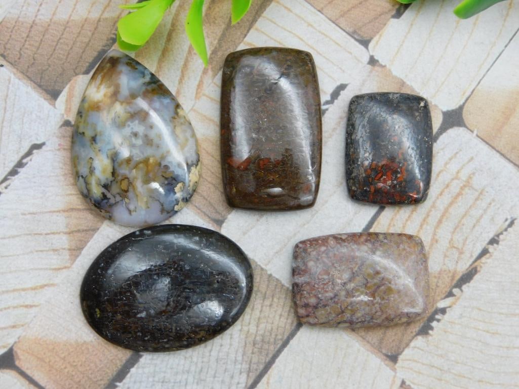 CABOCHONS ROCK STONE LAPIDARY SPECIMEN (1 of 2)