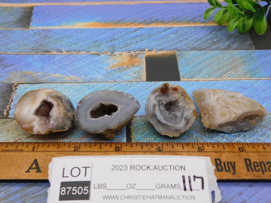 GEODE ROCK STONE LAPIDARY SPECIMEN - 2