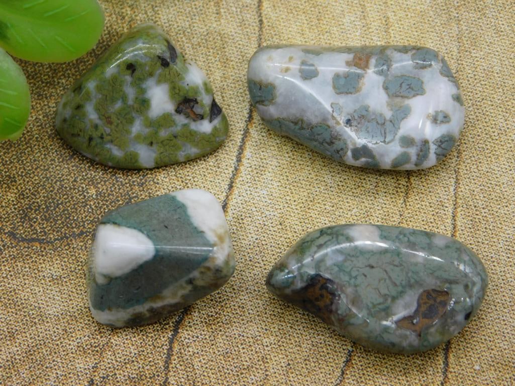 CAMOFLAUGE AGATE ROCK STONE LAPIDARY SPECIMEN (1 of 2)