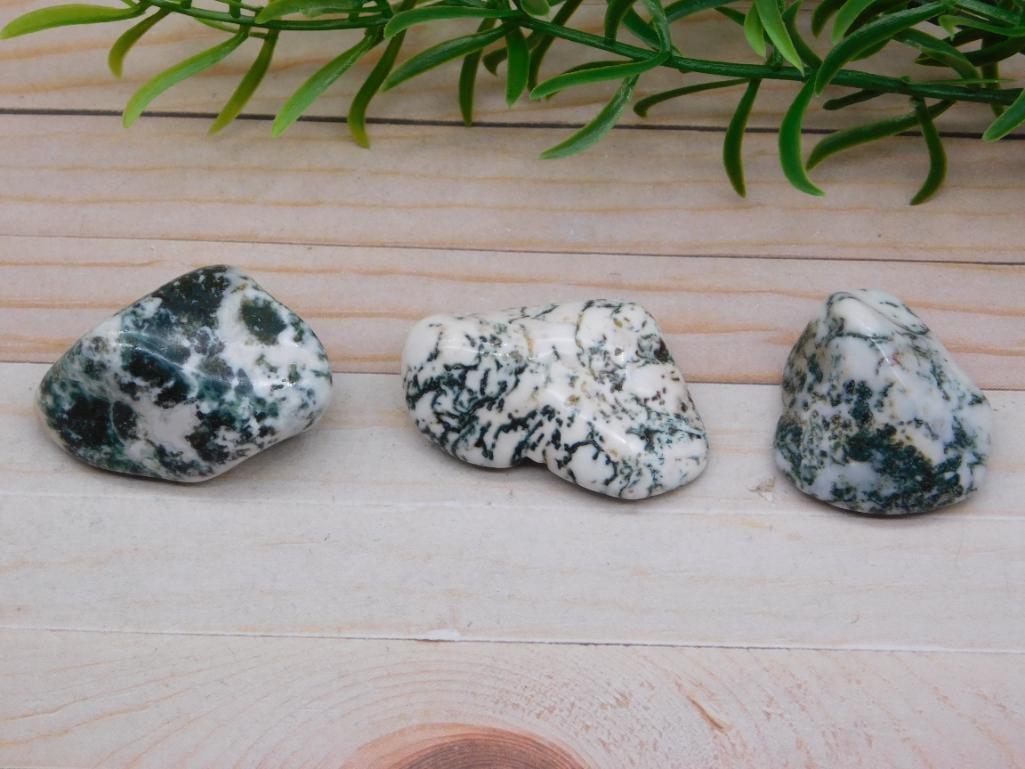 TREE AGATE ROCK STONE LAPIDARY SPECIMEN (1 of 2)