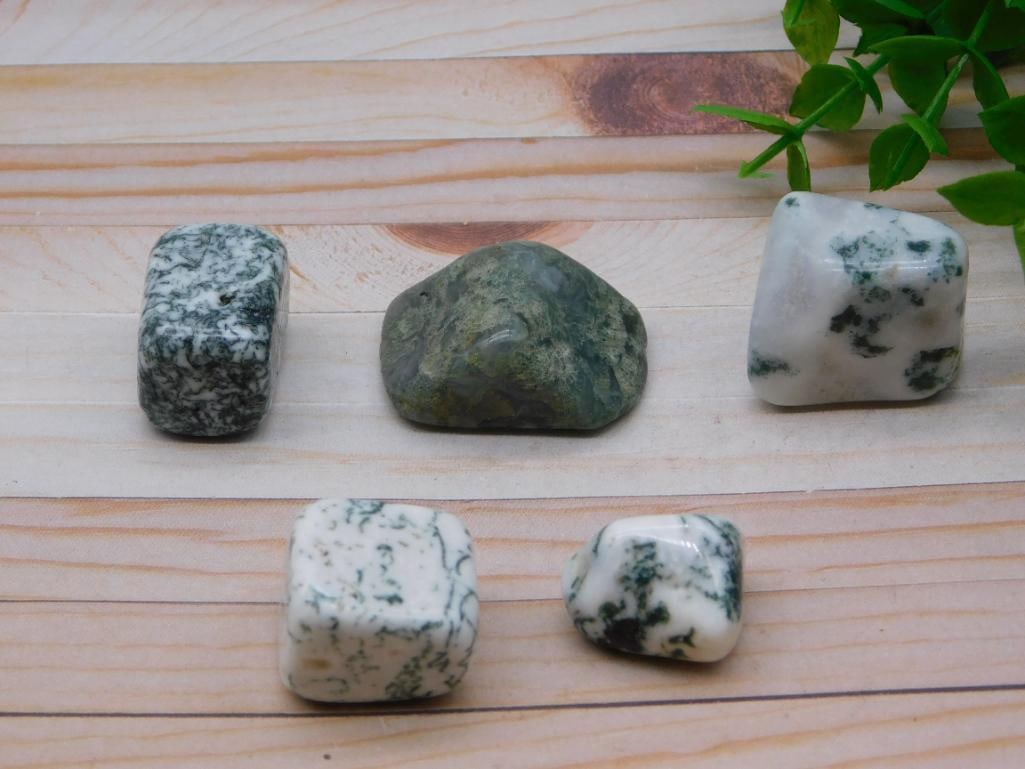 TREE AGATE ROCK STONE LAPIDARY SPECIMEN: TREE AGATE ROCK STONE LAPIDARY SPECIMEN