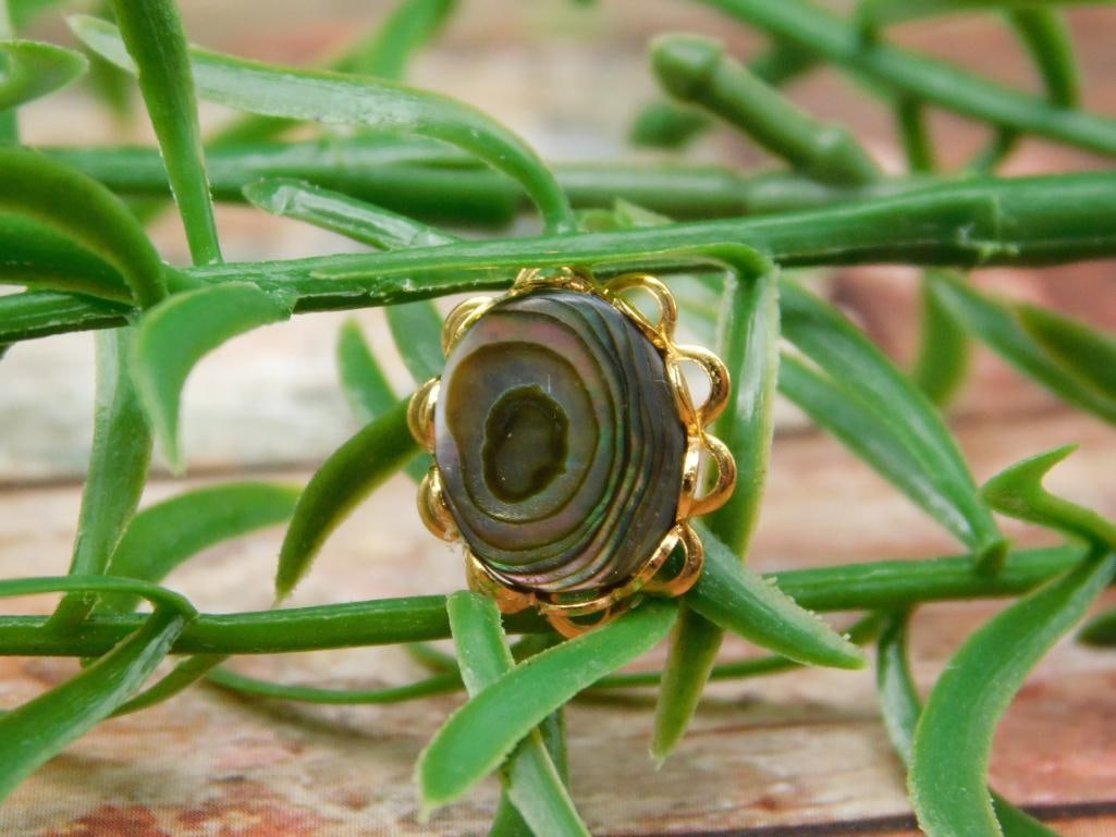 ABALONE PENDANT ROCK STONE LAPIDARY SPECIMEN: ABALONE PENDANT ROCK STONE LAPIDARY SPECIMEN