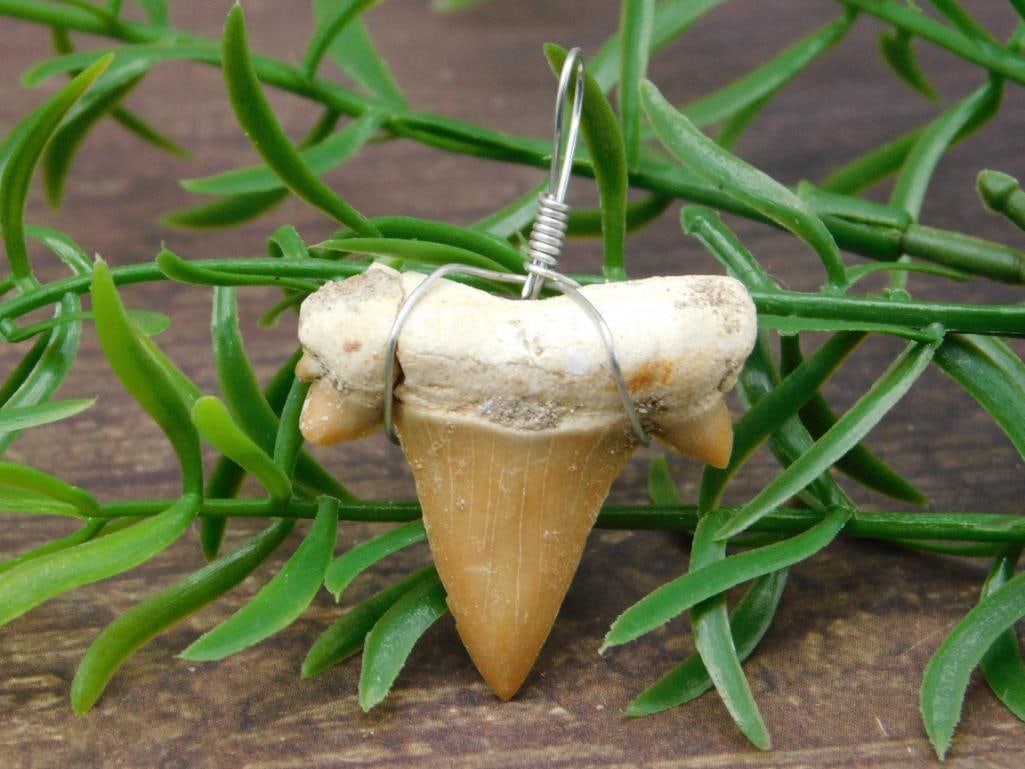 SPECIAL JEWELRY SALE! SEE PHOTOS FOR DETAILS: SPECIAL JEWELRY SALE! SEE PHOTOS FOR DETAILS