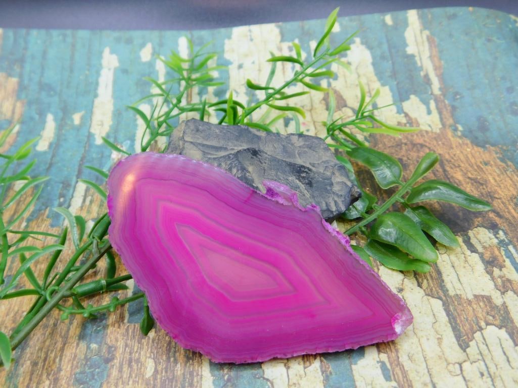 AGATE SLICE ROCK STONE LAPIDARY SPECIMEN: AGATE SLICE ROCK STONE LAPIDARY SPECIMEN