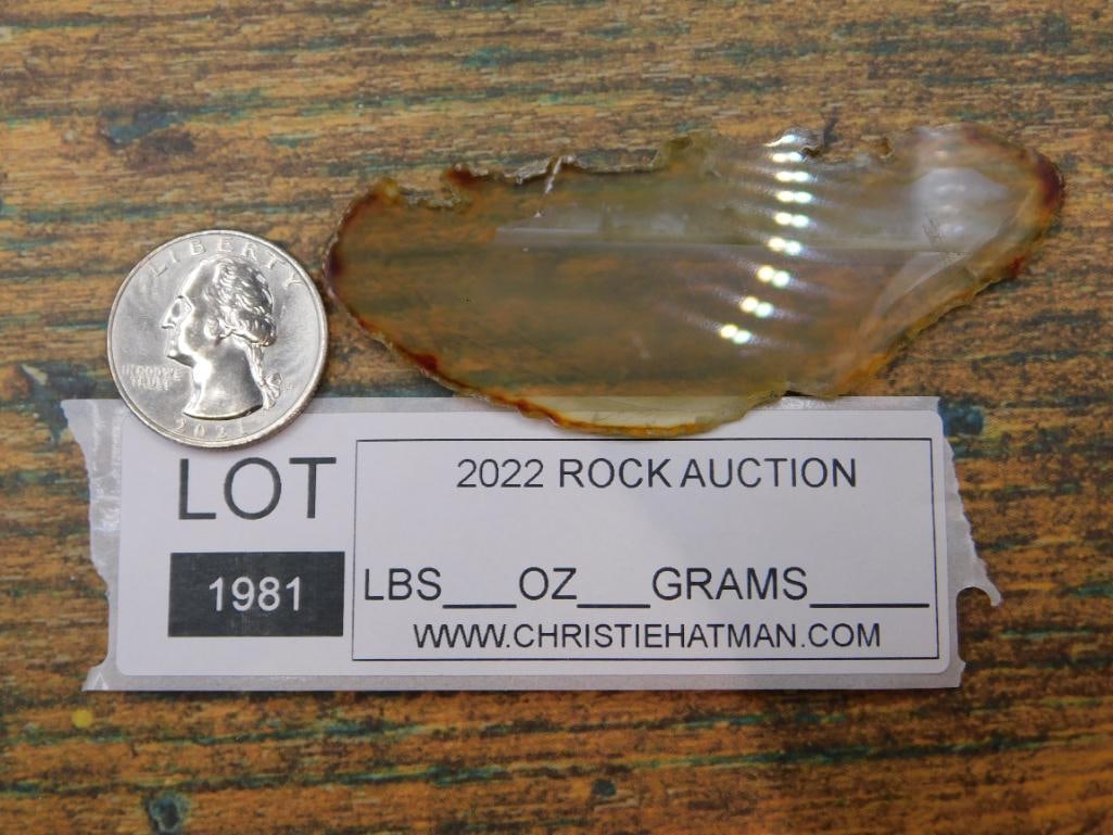 AGATE SLICE ROCK STONE LAPIDARY SPECIMEN - 3