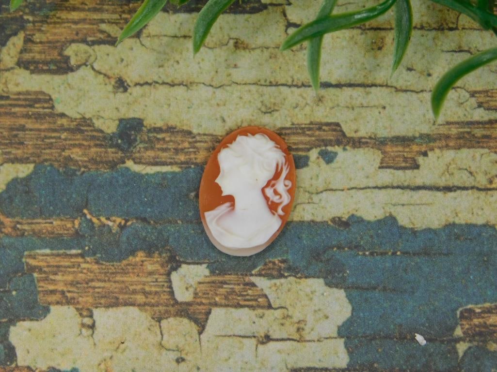 CAMEO CABOCHON ROCK STONE LAPIDARY SPECIMEN: CAMEO CABOCHON ROCK STONE LAPIDARY SPECIMEN