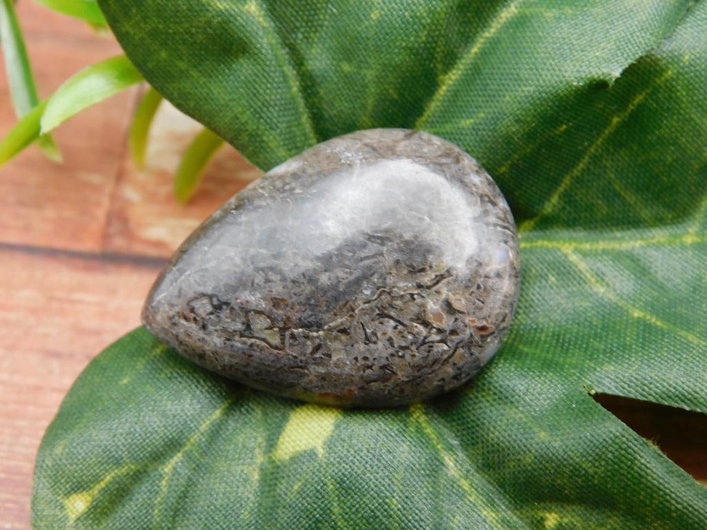 DINOSAUR BONE CABOCHON ROCK STONE LAPIDARY SPECIMEN (1 of 2)