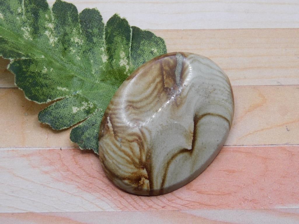 JASPER CABOCHON ROCK STONE LAPIDARY SPECIMEN: JASPER CABOCHON ROCK STONE LAPIDARY SPECIMEN