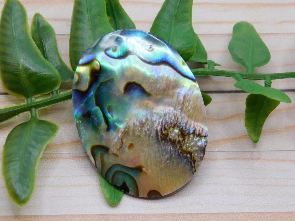 ABALONE CABOCHON ROCK STONE LAPIDARY SPECIMEN (1 of 2)