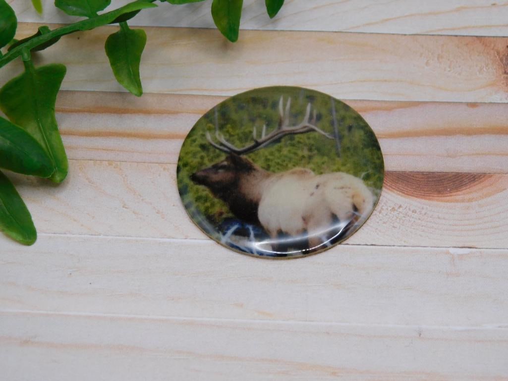 ELK CABOCHON ROCK STONE LAPIDARY SPECIMEN: ELK CABOCHON ROCK STONE LAPIDARY SPECIMEN