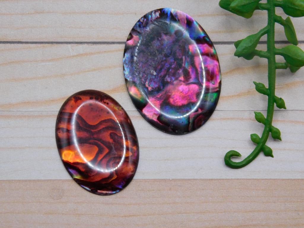 ABALONE CABOCHONS ROCK STONE LAPIDARY SPECIMEN: ABALONE CABOCHONS ROCK STONE LAPIDARY SPECIMEN