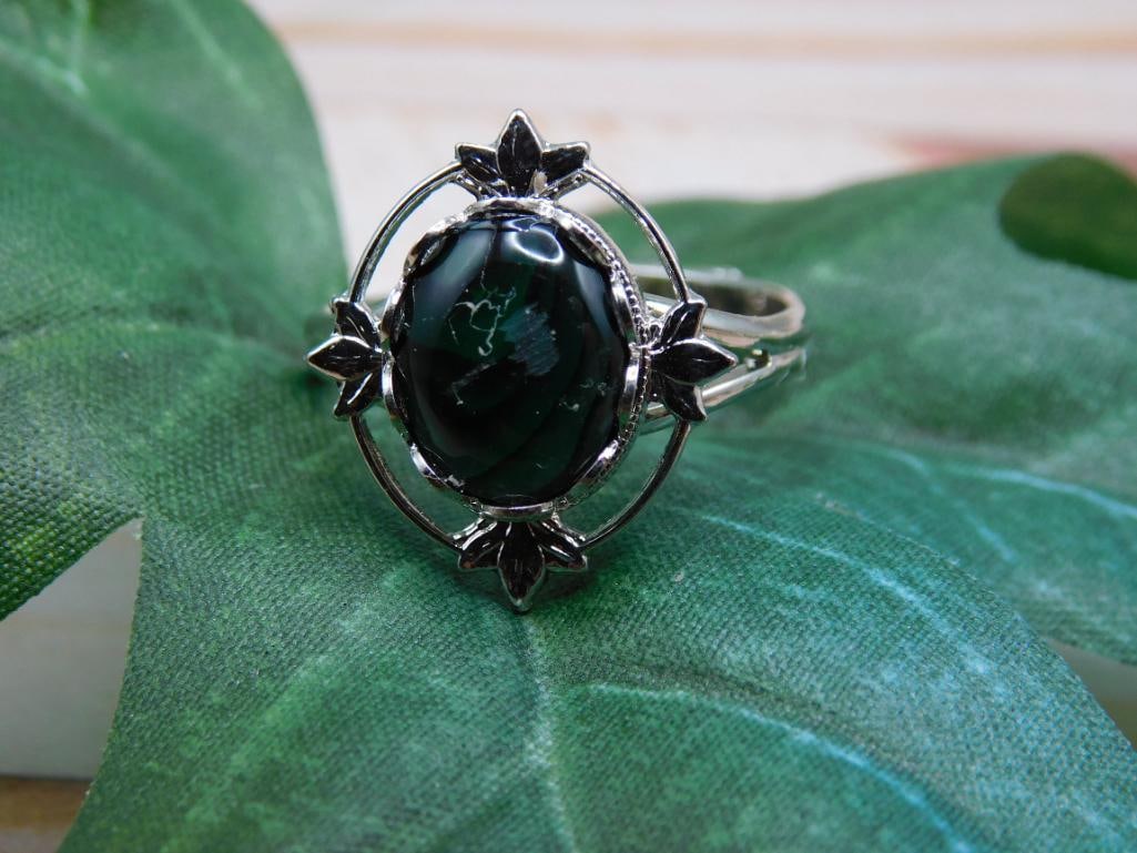 ABALONE RING ROCK STONE LAPIDARY SPECIMEN (1 of 2)