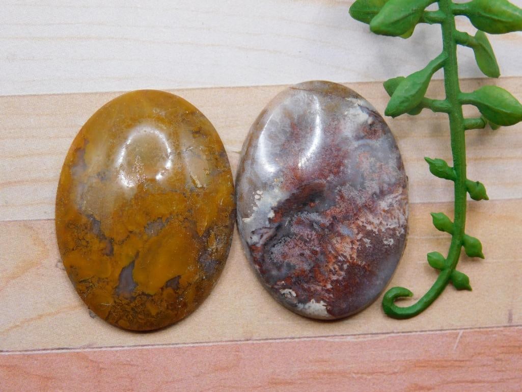 CABOCHONS ROCK STONE LAPIDARY SPECIMEN (1 of 2)