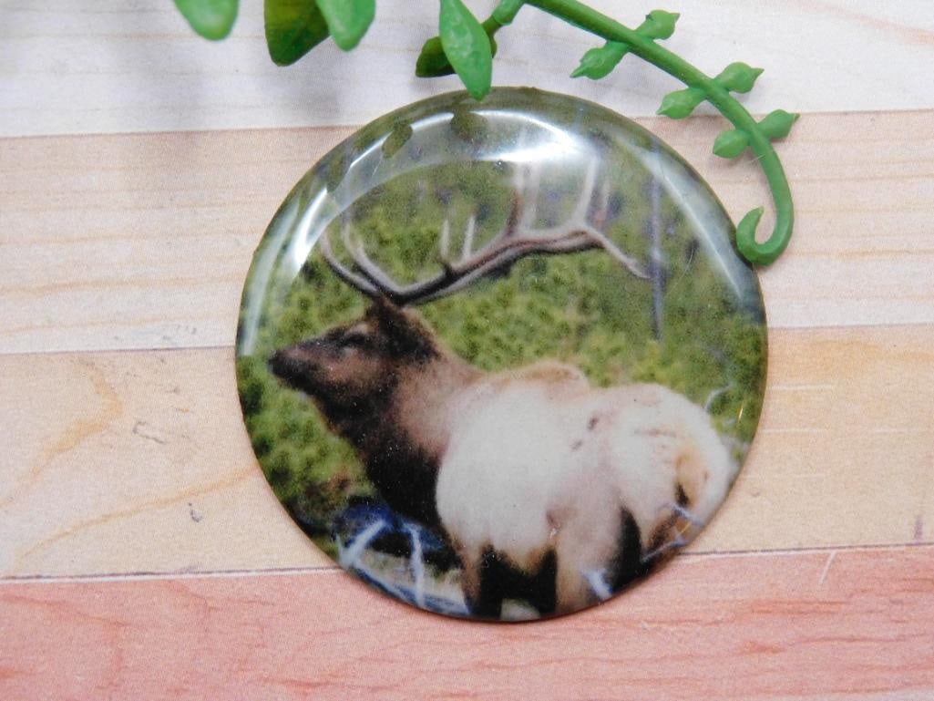 ELK CABOCHON ROCK STONE LAPIDARY SPECIMEN: ELK CABOCHON ROCK STONE LAPIDARY SPECIMEN