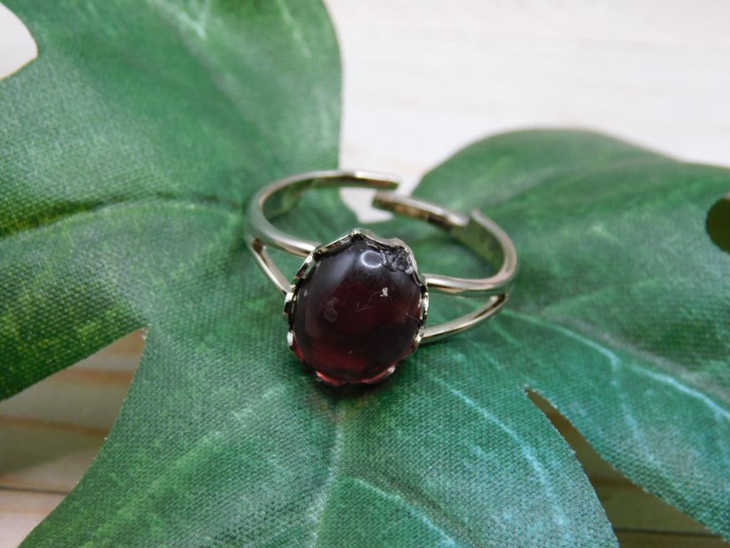 ABALONE RING ROCK STONE LAPIDARY SPECIMEN (1 of 2)