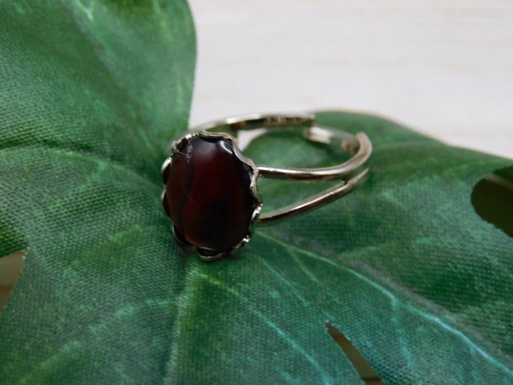 ABALONE RING ROCK STONE LAPIDARY SPECIMEN (1 of 2)