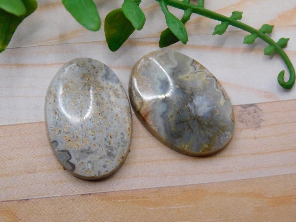 MEXICAN LACE CABOCHONS ROCK STONE LAPIDARY SPECIMEN: MEXICAN LACE CABOCHONS ROCK STONE LAPIDARY SPECIMEN