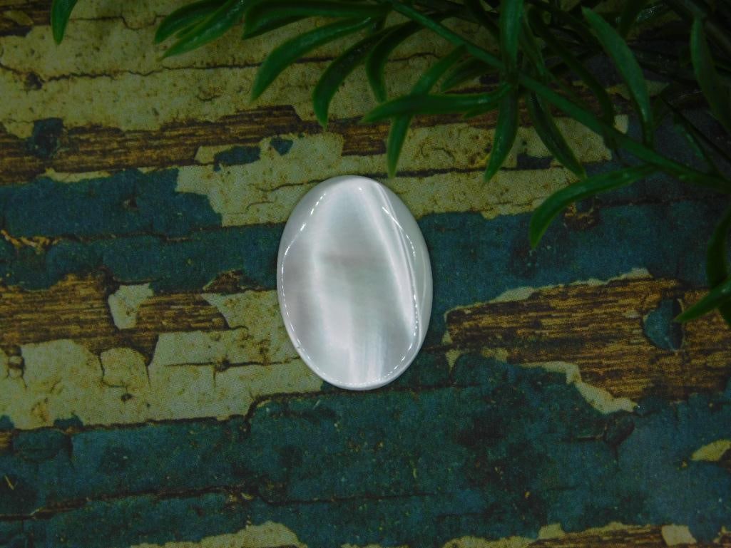 CABOCHON ROCK STONE LAPIDARY SPECIMEN: CABOCHON ROCK STONE LAPIDARY SPECIMEN