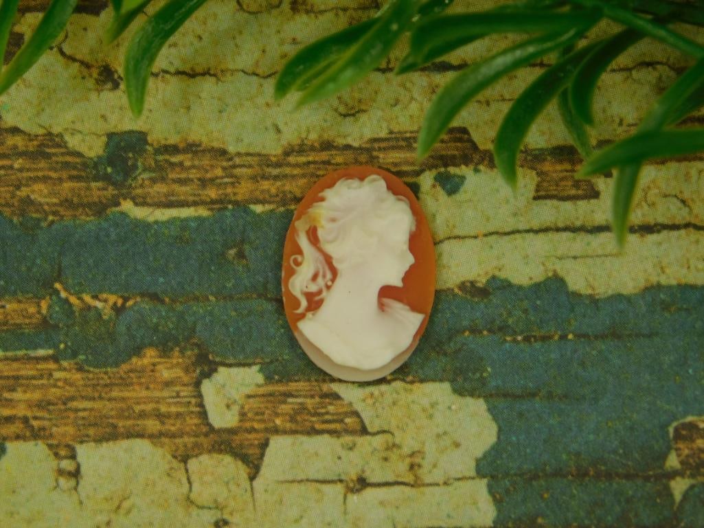 CAMEO CABOCHON ROCK STONE LAPIDARY SPECIMEN: CAMEO CABOCHON ROCK STONE LAPIDARY SPECIMEN