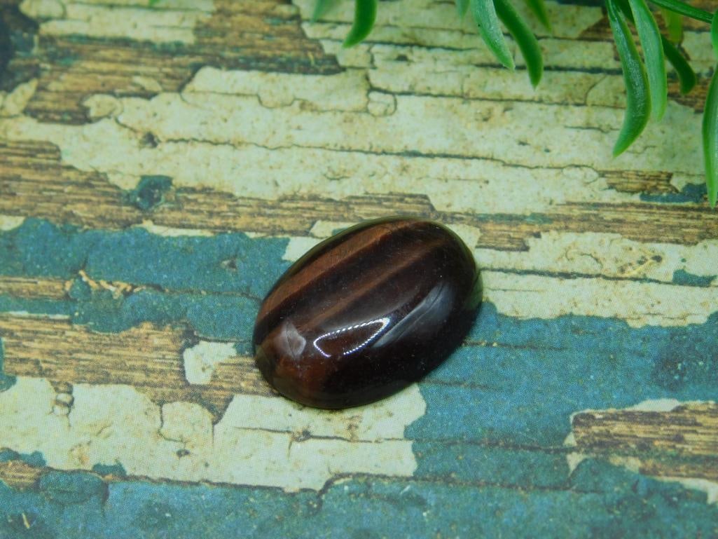 MAHOGANY TIGERS EYE CABOCHON ROCK STONE LAPIDARY SPECIMEN: MAHOGANY TIGERS EYE CABOCHON ROCK STONE LAPIDARY SPECIMEN