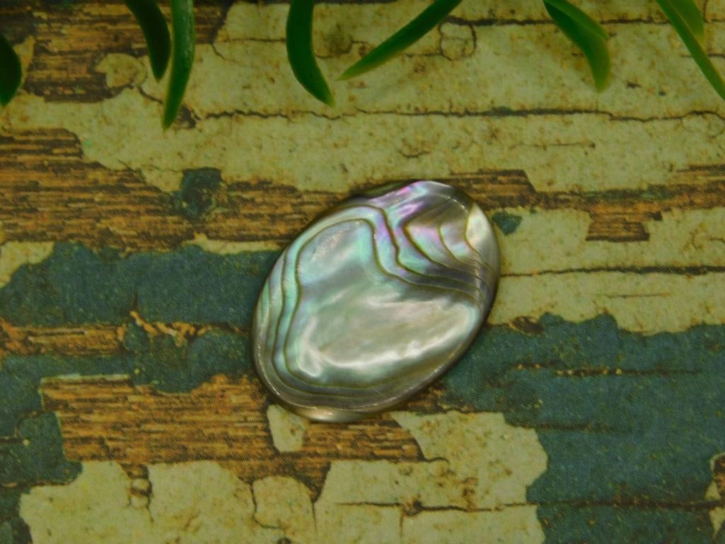 ABALONE CABOCHON ROCK STONE LAPIDARY SPECIMEN (1 of 3)