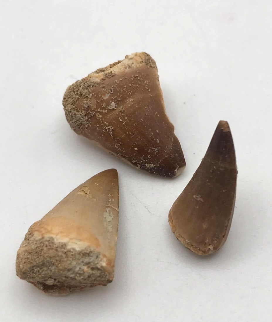 JEWELRY ROCK STONE LAPIDARY SPECIMEN (1 of 2)