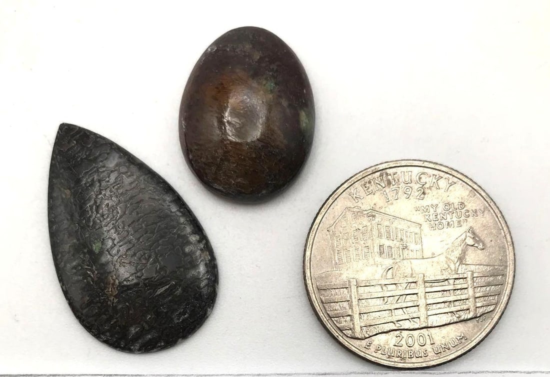 DINOSAUR BONE CAB - 2