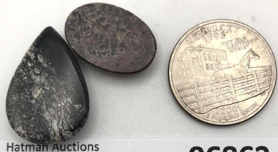 DINOSAUR BONE CAB - 2