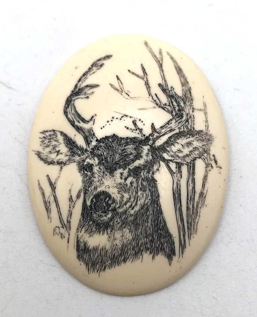 JEWELRY ROCK STONE LAPIDARY SPECIMEN: JEWELRY ROCK STONE LAPIDARY SPECIMEN