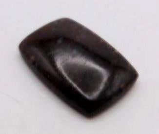 DINOSAUR BONE CABOCHON ROCK STONE LAPIDARY SPECIMEN: DINOSAUR BONE CABOCHON ROCK STONE LAPIDARY SPECIMEN