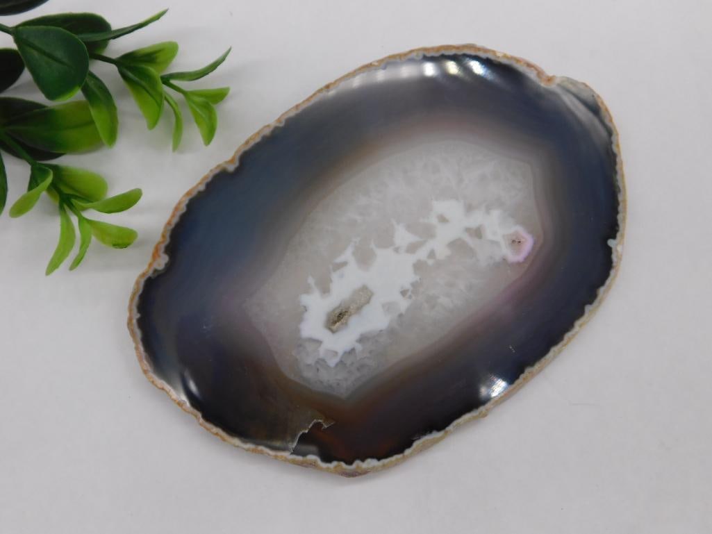 Agate Slice with Details ROCK STONE LAPIDARY SPECIMEN: Agate Slice with Details ROCK STONE LAPIDARY SPECIMEN