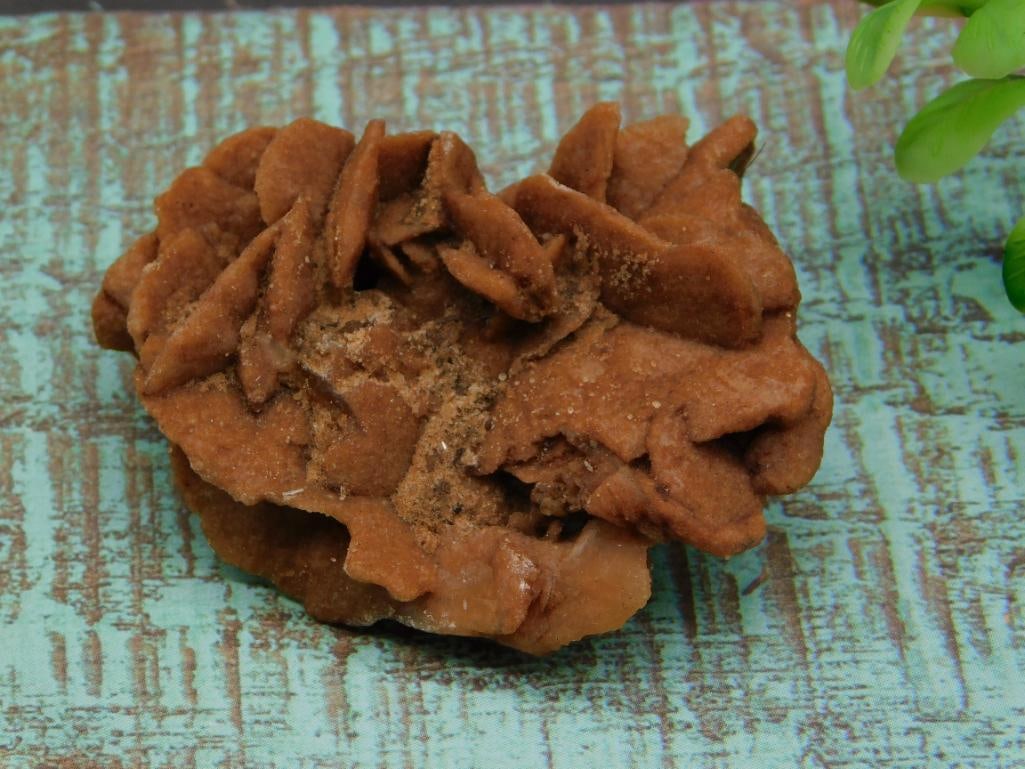 DESERT ROSE ROCK STONE LAPIDARY SPECIMEN (1 of 2)