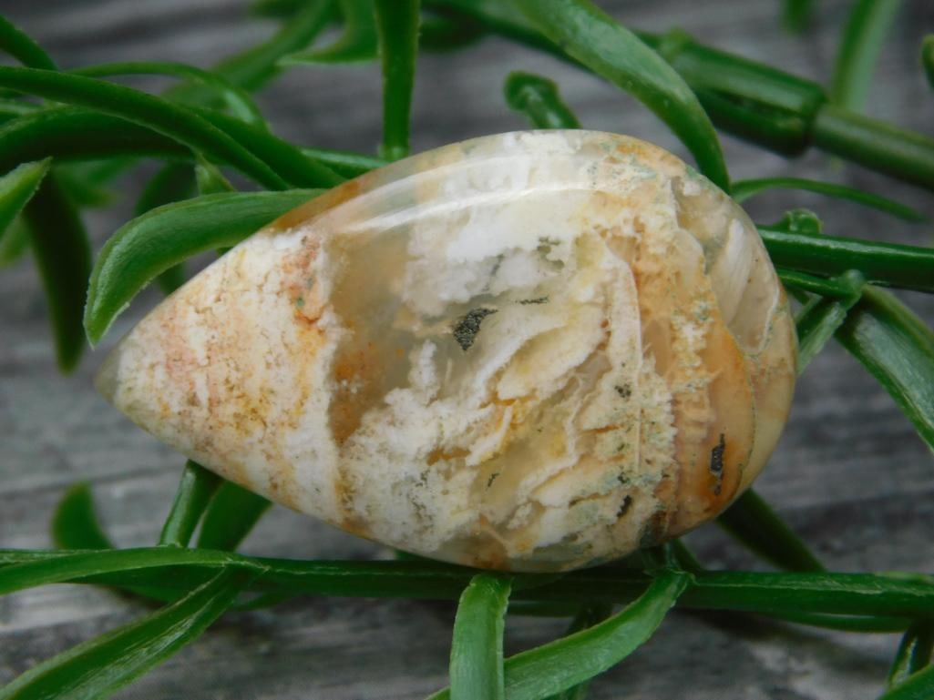 SPECIAL JEWELRY SALE! SEE PHOTOS FOR DETAILS (1 of 2)