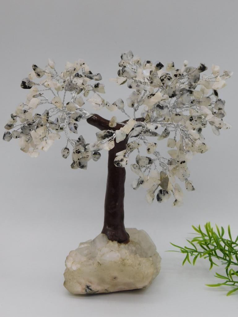 1 POUND STONE TREE ROCK STONE LAPIDARY SPECIMEN: 1 POUND STONE TREE ROCK STONE LAPIDARY SPECIMEN