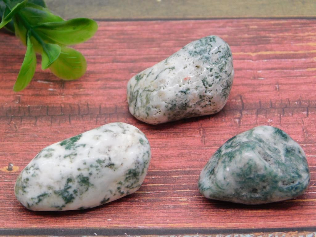 TREE AGATE ROCK STONE LAPIDARY SPECIMEN: TREE AGATE ROCK STONE LAPIDARY SPECIMEN