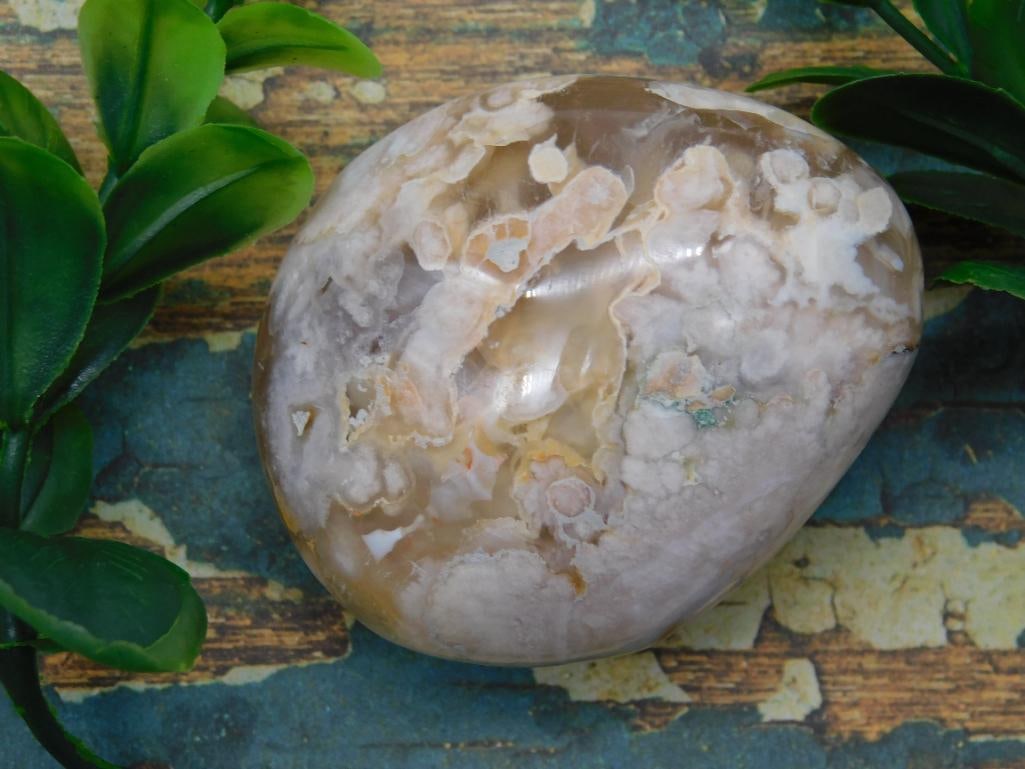 HATMANS FLOWER PETAL AGATE ROCK STONE LAPIDARY SPECIMEN (1 of 2)