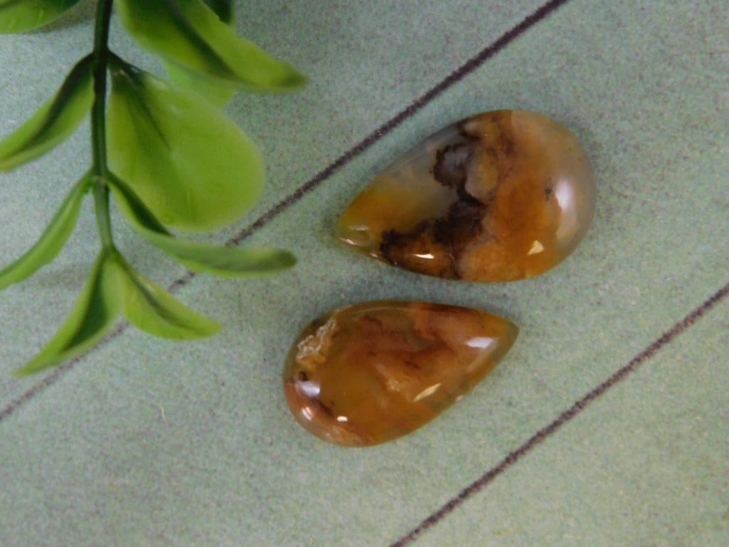 PLUME AGATE CABOCHONS ROCK STONE LAPIDARY SPECIMEN (1 of 2)