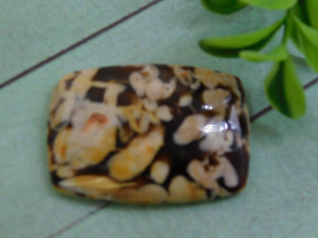 PEANUT WOOD JASPER CABOCHON ROCK STONE LAPIDARY SPECIMEN (1 of 2)