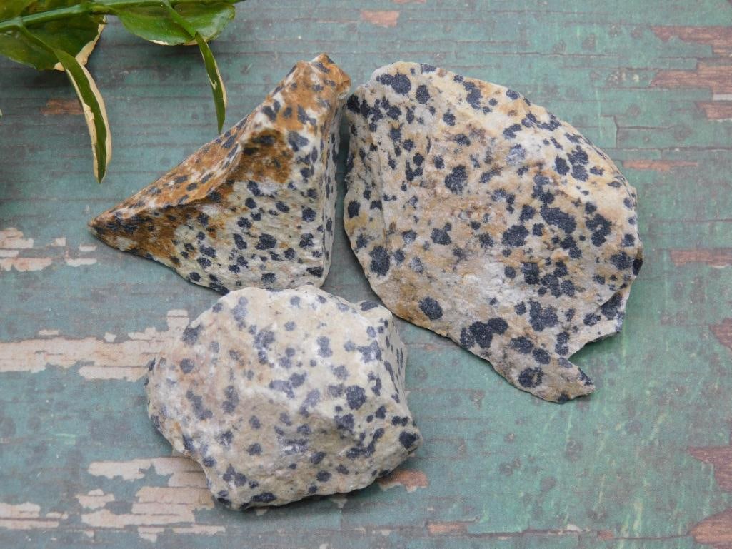 DALMATION JASPER ROCK STONE LAPIDARY SPECIMEN: DALMATION JASPER ROCK STONE LAPIDARY SPECIMEN