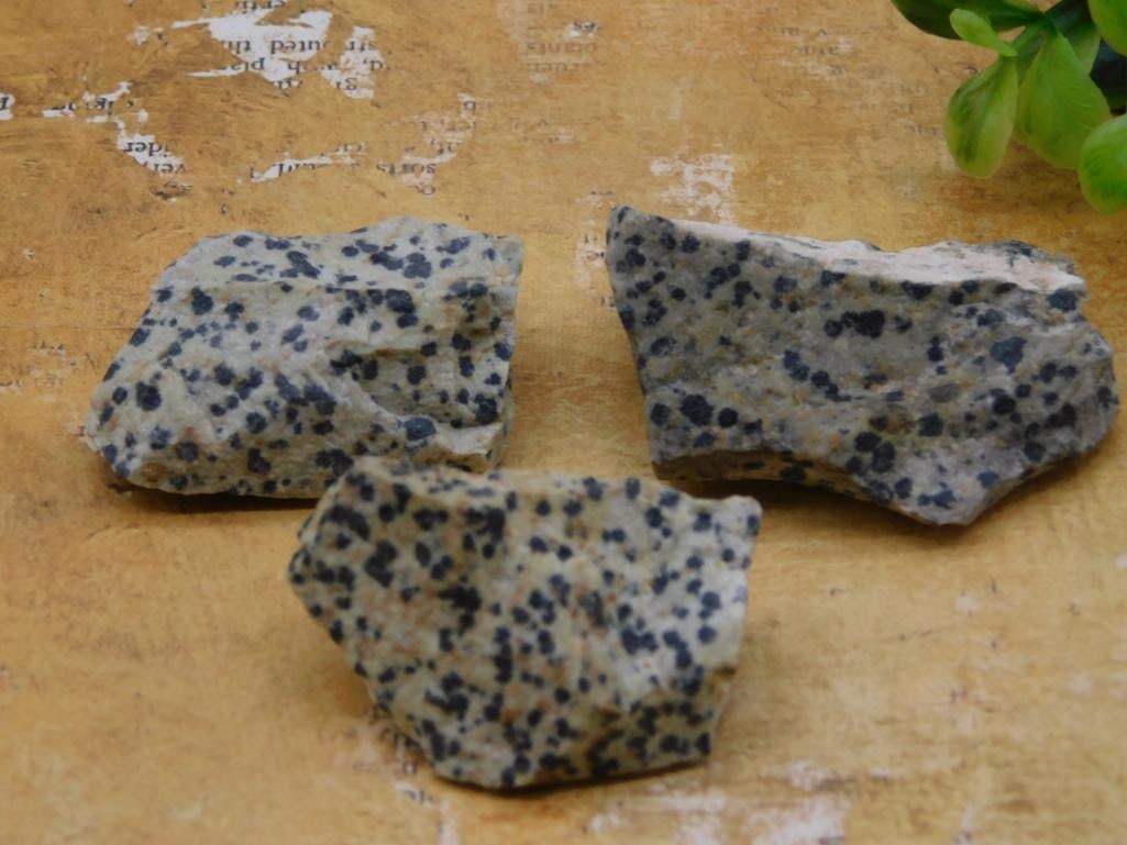 DALMATION JASPER ROCK STONE LAPIDARY SPECIMEN: DALMATION JASPER ROCK STONE LAPIDARY SPECIMEN
